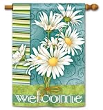 Daisy Joy BreezeArt House Flag - Double Sided