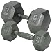 Hex Dumbbell w/ Ergo Handle (5 - 100 lb) - Exercise