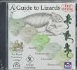 A Guide to Lizards: Basics, Procedures, Diseases, Resources (Exotics Series)
