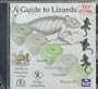 A Guide to Lizards: Basics, Procedures, Diseases, Resources (Exotics Series)