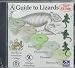 A Guide to Lizards: Basics, Procedures, Diseases, Resources (Exotics Series)