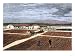 Coffee Berries Spread in the Plantation Yard to Ferment and Dry, c.1800 Art Giclee Po...