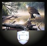 Eagle River Decorative Night Light
