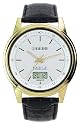 EUROCHRON (JUNGHANS-WERK) HERREN-FUNKUHR 066/7306.00 UVP 179,95
