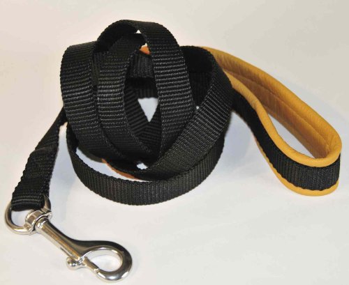 Dean & Tyler Padded Puppy Strong Nylon Dog Leash - Stainless Steel Hardware - Black - 6 Ft - 3/4" Width - Nappa Leather Padded Handle - Great for Everyday Use !!! Goes Great with Our Dt Harness!!!