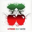 Pacha Ibiza Winter