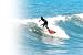 海から見た、ニッポン 坂口憲二の日本列島サーフィン紀行 第二章 春夏篇 [DVD] 別画像