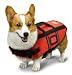 AKC Pet Life Jacket with Reflective Accents and Lift Assist Handle, Medium, Orange