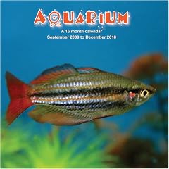 Aquarium - (2010)