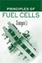 Principles of Fuel Cells