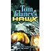 Tom Clancy's HAWX