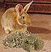Kaytee Timothy Hay 2-96oz Case