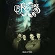 Dead Letters (Ltd.Pur Edition)