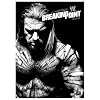WWE: Breaking Point 2009