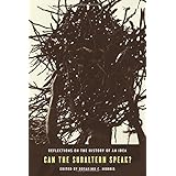 can the subaltern speak reflections on the history of an idea