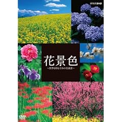 �Ԍi�F~�l�G���ʂ� ���{�̖����i~ [DVD]