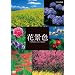 �Ԍi�F~�l�G���ʂ� ���{�̖����i~ [DVD]