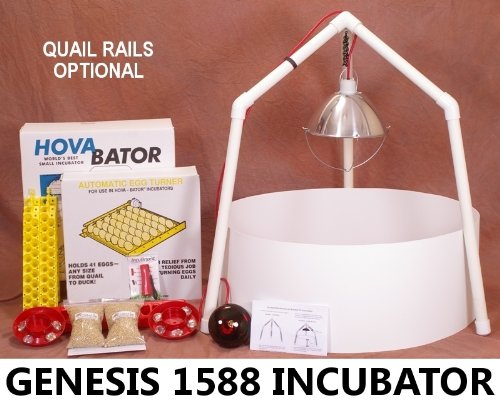HovaBator Genesis 1588 Ultimate Egg Incubator & Brooder Combo Kit