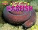 Disgusting Hagfish (Gross-Out Defenses)