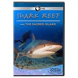 Saving the Ocean: Shark Reef & The Sacred Island