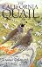 Compare Prices