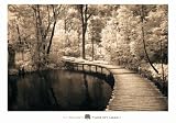 Take My Lead I Art Poster Print by Ily Szilagyi, 40x28