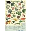A Lesson In Food 5-A-Day Vegetables Children's Educational Mini Poster 60x40cm