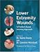 Lower Extremity Wounds: A Problem Based Approach