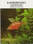 Rainbowfishes of Australia and Papua New Guinea