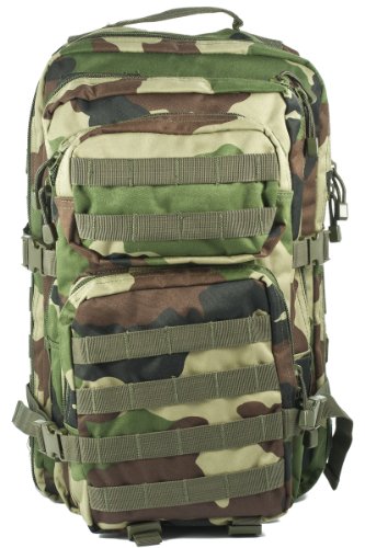 Camouflage Militaire Armée Sac à dos US assault pack 50L MOLLE Central Europe (CE)