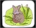 Mouse Pad with eating, feeding, animal, wildlife, chinchilla, foraging