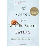 the sound of a wild snail eating