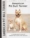 American Pit Bull Terrier