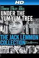 play video on Amazon Instant Video
