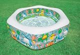 75" x 70" x 24" Swim Center Ocean Reef Pool