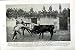 C1920 Bull Fight Plaza De Toros Caceres Sport Spain