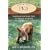 Pigs: Keeping a Small-Scale Herd for Pleasure and Profit (Hobby Farms)