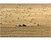 Photographic Print of Tractor harvesting straw from Science Photo Library
