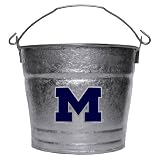 NCAA Michigan Wolverines Ice Bucket