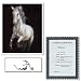 Odyssey by Michelle Moate Signed Giclee Art COA