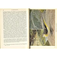 Paul G�roudet. La Vie des oiseaux. Les Passereaux : . 3. Des pouillots aux moineaux... Aquarelles de L�o-Paul Robert... dessins de Robert Hainard, Manfred Reichel, Paul Barruel et P.-A. Robert