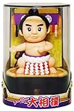大相撲（ソーラー）