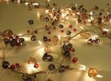 from Party String Lights Fairy Light Cabana Chic String Light