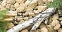 St. Croix Avid Spinning Rods Model: AVS70MHF (7' 0", MH)
