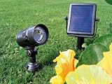 Solar-Gartenstrahler SR8