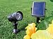 Solar-Gartenstrahler SR8