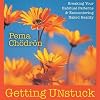 Getting Unstuck: Breaking Your Habitual Patterns and Encountering Naked Reality