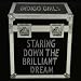 Staring Down The Brilliant Dream [+Digital Booklet]