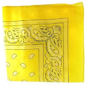 Paisley Cotton Bandanas - 15 Colors to Choose From