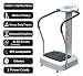 2013 Silver Crazy Fit Vibration Massage Plate 2750W Peak Power 99 Speed Range with MP3 Loudspeaker and 2 Free Power Cords 150kg Max User Weight